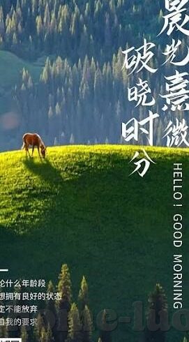 大象传媒app下载网站-探索大象传媒APP，数字娱乐的新篇章