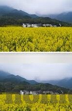 麻豆91视频-麻豆91视频，互联网内容创作的一次实质性探索