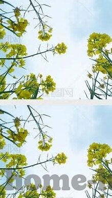 麻豆国产av片无码-从文化健康的视角看国产成人影视内容的误区与导向