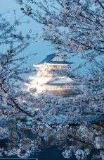 人妻无码色久-家庭生活的细腻画卷，人妻的温情与日常